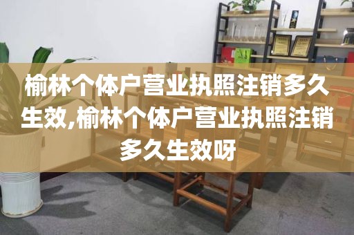 榆林个体户营业执照注销多久生效,榆林个体户营业执照注销多久生效呀