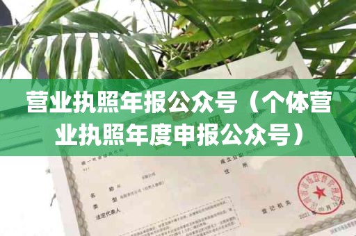 营业执照年报公众号（个体营业执照年度申报公众号）