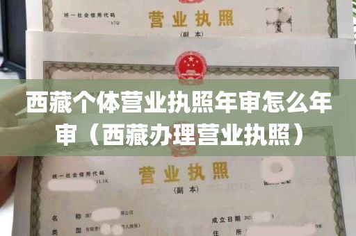 西藏个体营业执照年审怎么年审（西藏办理营业执照）