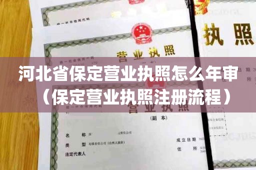 河北省保定营业执照怎么年审（保定营业执照注册流程）