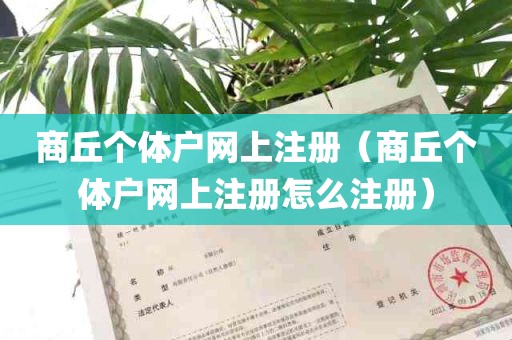 商丘个体户网上注册（商丘个体户网上注册怎么注册）