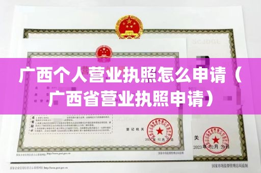广西个人营业执照怎么申请（广西省营业执照申请）
