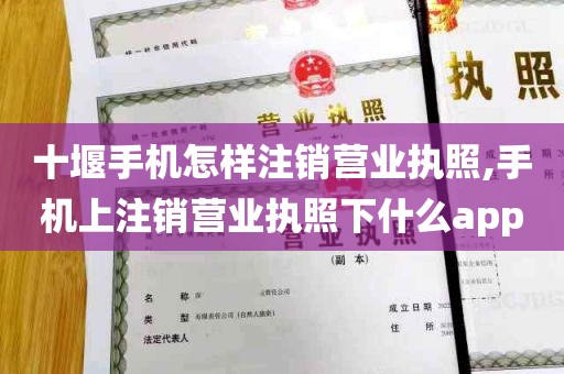 十堰手机怎样注销营业执照,手机上注销营业执照下什么app