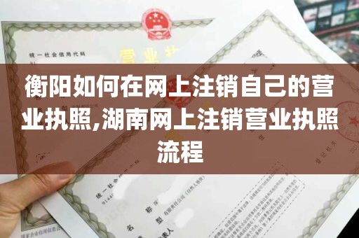 衡阳如何在网上注销自己的营业执照,湖南网上注销营业执照流程