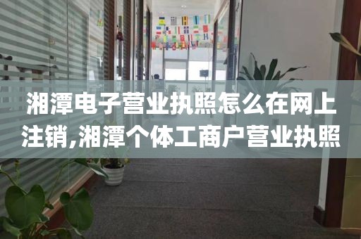 湘潭电子营业执照怎么在网上注销,湘潭个体工商户营业执照