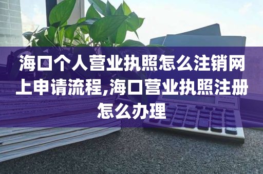 海口个人营业执照怎么注销网上申请流程,海口营业执照注册怎么办理