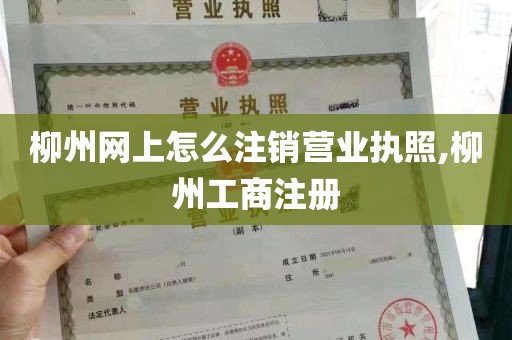 柳州网上怎么注销营业执照,柳州工商注册