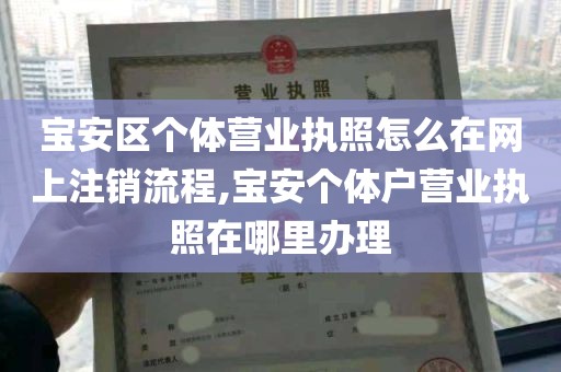 宝安区个体营业执照怎么在网上注销流程,宝安个体户营业执照在哪里办理