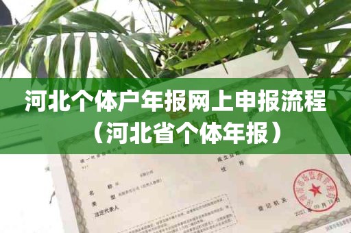 河北个体户年报网上申报流程（河北省个体年报）