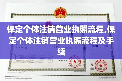 保定个体注销营业执照流程,保定个体注销营业执照流程及手续