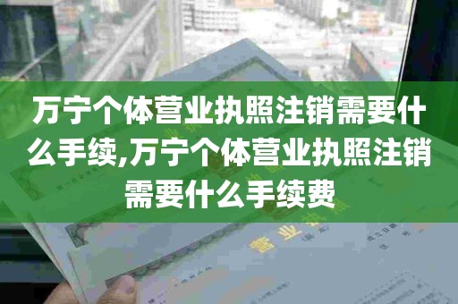 万宁个体营业执照注销需要什么手续,万宁个体营业执照注销需要什么手续费