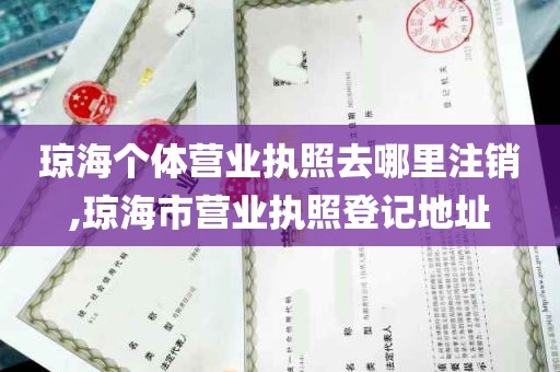 琼海个体营业执照去哪里注销,琼海市营业执照登记地址