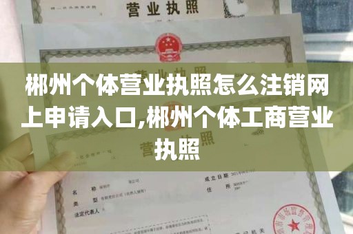 郴州个体营业执照怎么注销网上申请入口,郴州个体工商营业执照