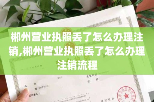 郴州营业执照丢了怎么办理注销,郴州营业执照丢了怎么办理注销流程