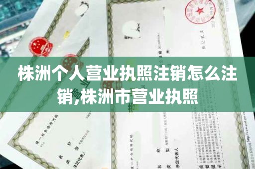 株洲个人营业执照注销怎么注销,株洲市营业执照