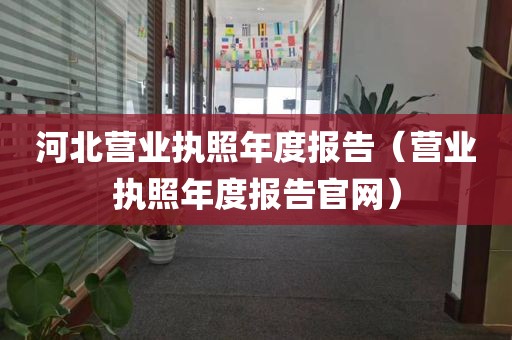 河北营业执照年度报告（营业执照年度报告官网）