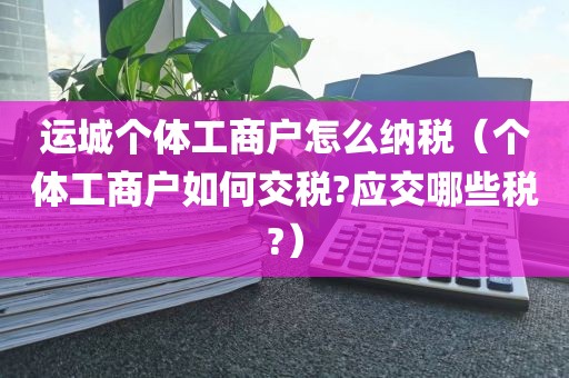 运城个体工商户怎么纳税（个体工商户如何交税?应交哪些税?）