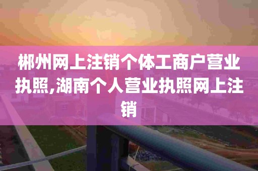 郴州网上注销个体工商户营业执照,湖南个人营业执照网上注销