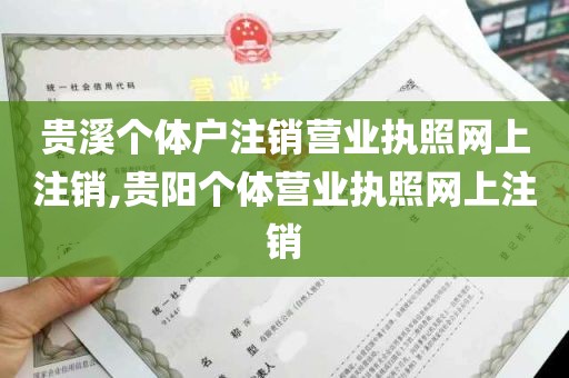 贵溪个体户注销营业执照网上注销,贵阳个体营业执照网上注销