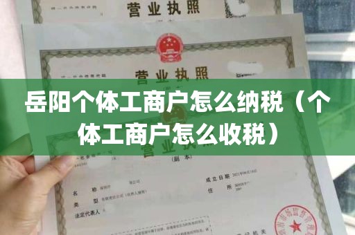 岳阳个体工商户怎么纳税（个体工商户怎么收税）