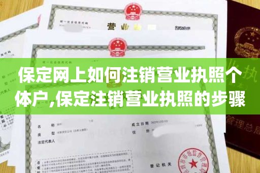 保定网上如何注销营业执照个体户,保定注销营业执照的步骤