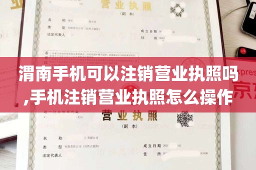 渭南手机可以注销营业执照吗,手机注销营业执照怎么操作