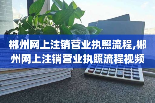 郴州网上注销营业执照流程,郴州网上注销营业执照流程视频