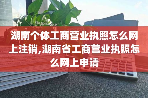 湖南个体工商营业执照怎么网上注销,湖南省工商营业执照怎么网上申请