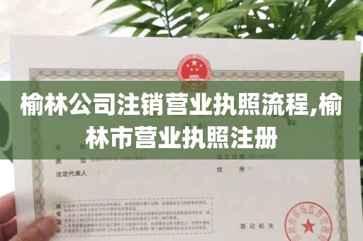 榆林公司注销营业执照流程,榆林市营业执照注册