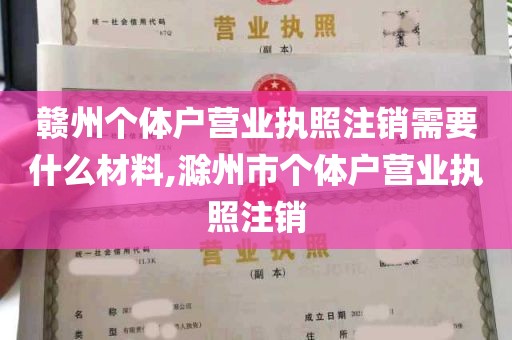 赣州个体户营业执照注销需要什么材料,滁州市个体户营业执照注销