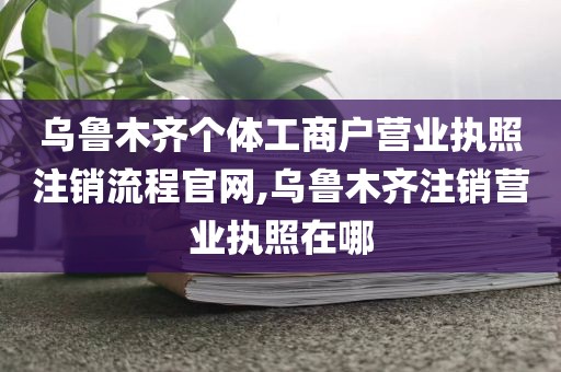 乌鲁木齐个体工商户营业执照注销流程官网,乌鲁木齐注销营业执照在哪