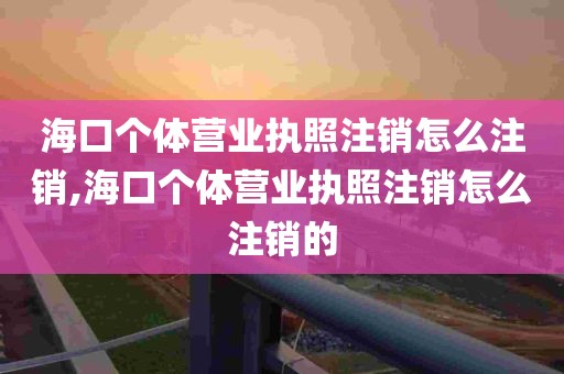 海口个体营业执照注销怎么注销,海口个体营业执照注销怎么注销的