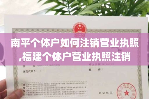 南平个体户如何注销营业执照,福建个体户营业执照注销