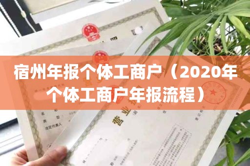 宿州年报个体工商户（2020年个体工商户年报流程）