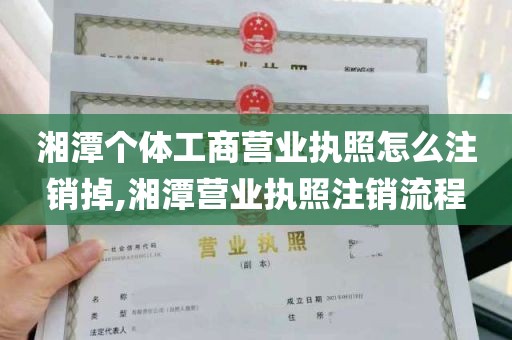 湘潭个体工商营业执照怎么注销掉,湘潭营业执照注销流程