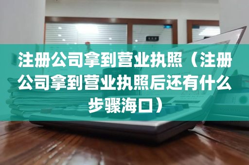 注册公司拿到营业执照（注册公司拿到营业执照后还有什么步骤海口）