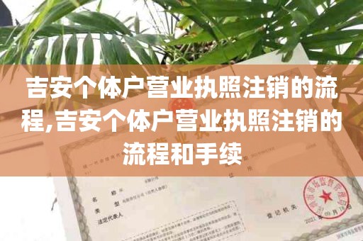 吉安个体户营业执照注销的流程,吉安个体户营业执照注销的流程和手续