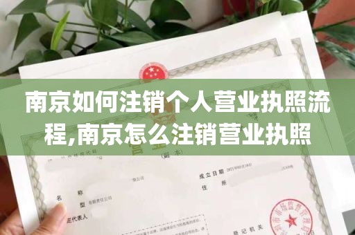 南京如何注销个人营业执照流程,南京怎么注销营业执照