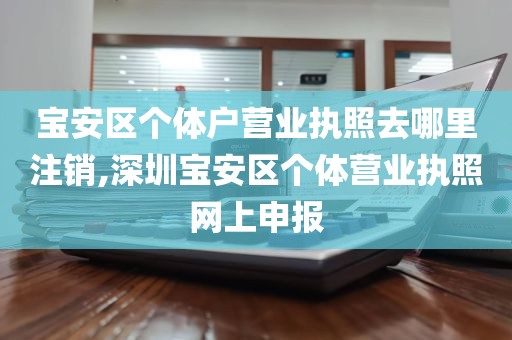 宝安区个体户营业执照去哪里注销,深圳宝安区个体营业执照网上申报