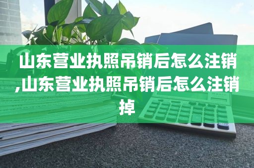 山东营业执照吊销后怎么注销,山东营业执照吊销后怎么注销掉