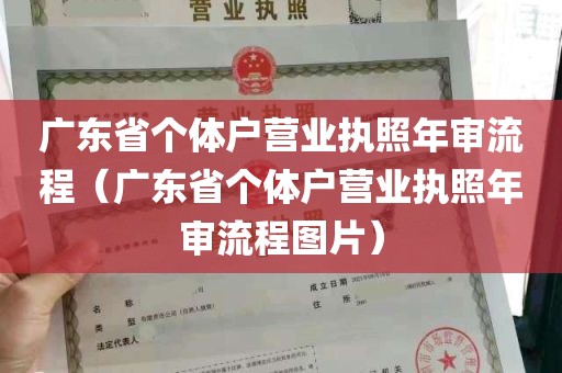 广东省个体户营业执照年审流程（广东省个体户营业执照年审流程图片）