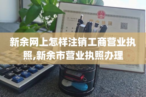 新余网上怎样注销工商营业执照,新余市营业执照办理