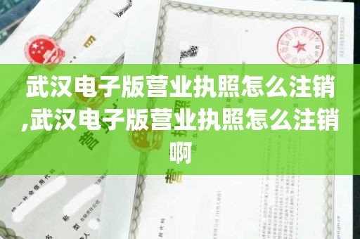 武汉电子版营业执照怎么注销,武汉电子版营业执照怎么注销啊