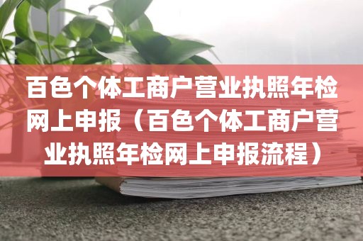 百色个体工商户营业执照年检网上申报（百色个体工商户营业执照年检网上申报流程）