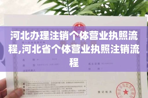 河北办理注销个体营业执照流程,河北省个体营业执照注销流程