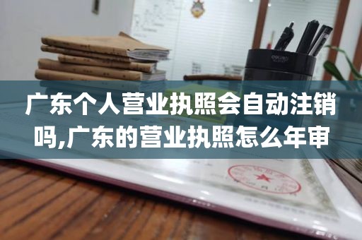 广东个人营业执照会自动注销吗,广东的营业执照怎么年审