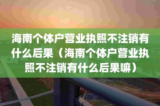 海南个体户营业执照不注销有什么后果（海南个体户营业执照不注销有什么后果嘛）