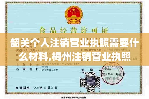 韶关个人注销营业执照需要什么材料,梅州注销营业执照