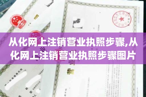 从化网上注销营业执照步骤,从化网上注销营业执照步骤图片