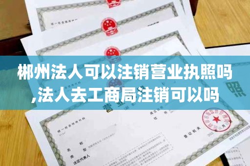 郴州法人可以注销营业执照吗,法人去工商局注销可以吗